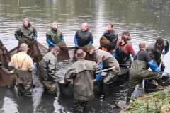 IMG-20261011-WA0003