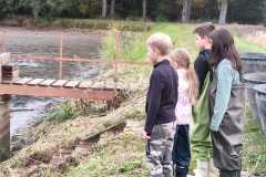 IMG-20261011-WA0005