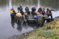 IMG-20261011-WA0006