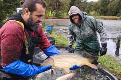 IMG-20261011-WA0007