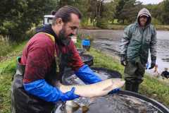 IMG-20261011-WA0008