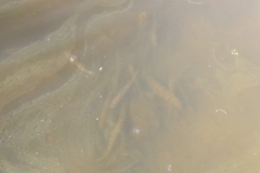 IMG-20181005-WA0002