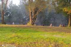 IMG-20200920-WA0005